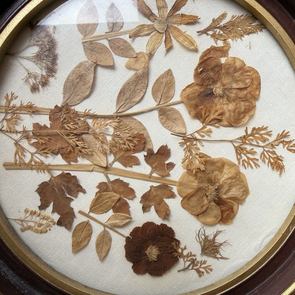 Vintage Pressed Flower Wall Art Round Brass‑Tone Frame 1960s–70s Hong Kong 8.5” - Picture 3 of 6